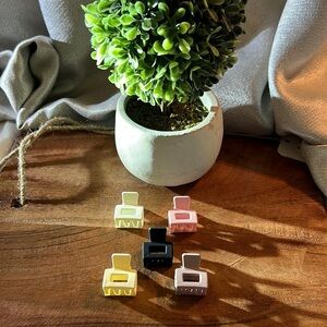 5 Piece Tiny Hair Matte Feel Clip Claw